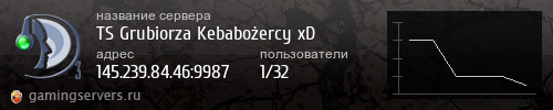 Баннер сервера