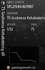 Баннер сервера