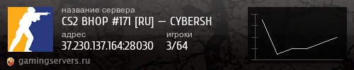 Баннер сервера
