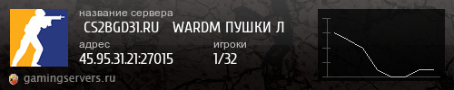 Баннер сервера