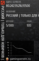 Баннер сервера