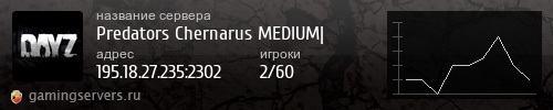 Баннер сервера