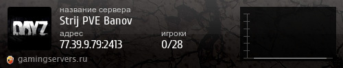 Баннер сервера