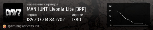 Баннер сервера