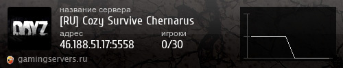 Баннер сервера