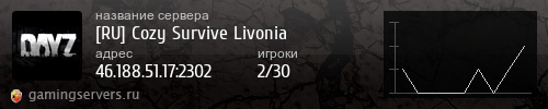 Баннер сервера
