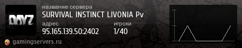 Баннер сервера