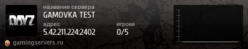 Баннер сервера