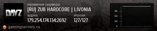 Баннер сервера
